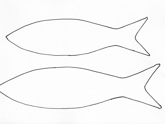 640x480 Starfish Clipart Rainbow Fish