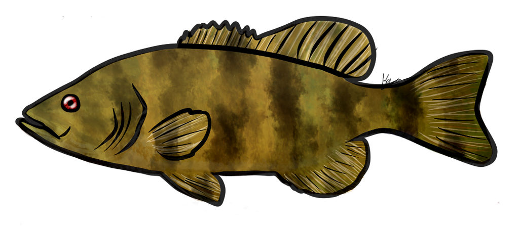 1024x447 this disgusting excuse of a drawing of a bass logo
