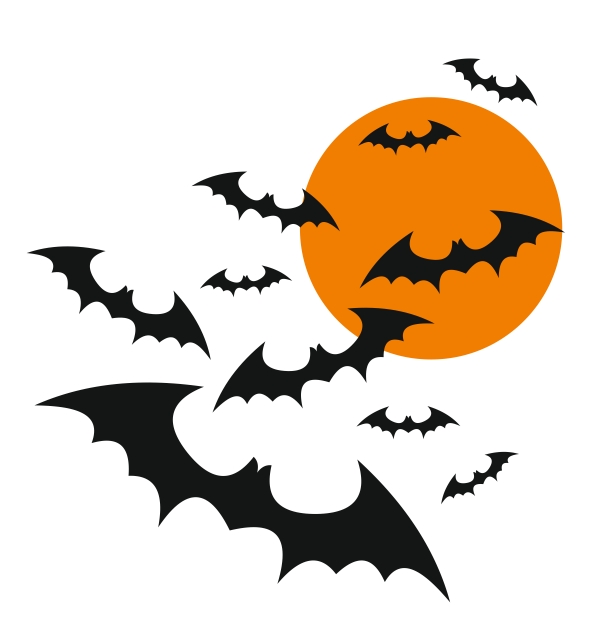 592x626 Halloween Bats Download Drawing Continuous Line Drawing Of Black