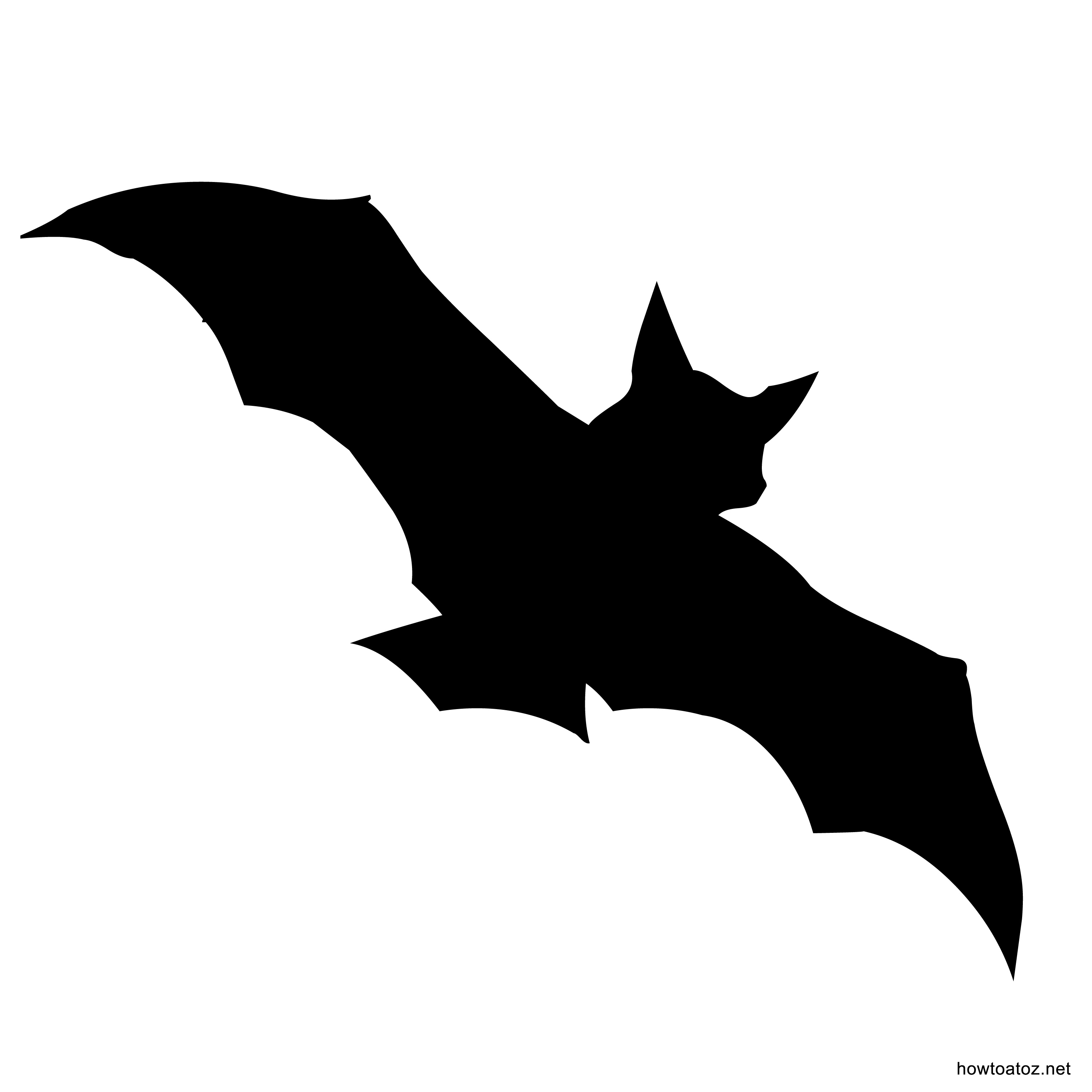 3000x3000 Bat Drawing Templates Fun For Christmas Halloween
