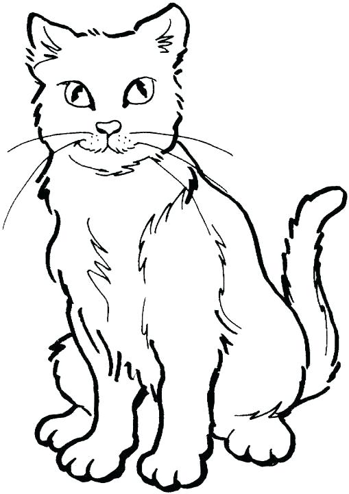 509x720 Line Drawings Of Cats Black Cat Coloring Sheet Halloween