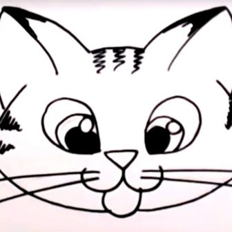 336x336 Drawing A Cat Face For Halloween Simple Outline Black And White