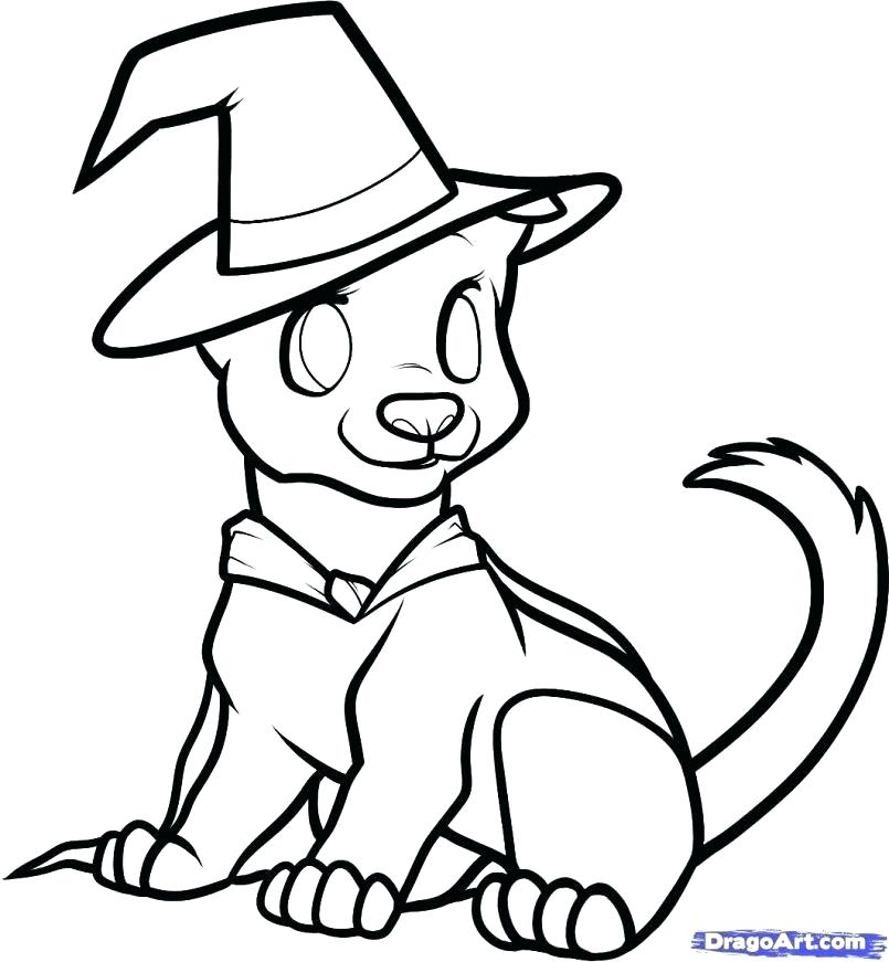 805x871 Halloween Drawings Easy Drawing Ideas Pumpkin Drawings Drawing