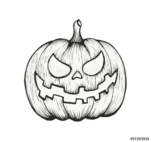 500x469 Vector Of Hand Draw Halloween Pumpkin