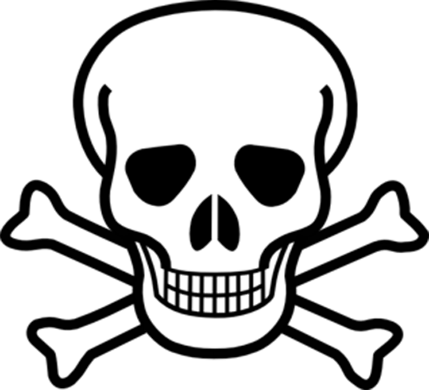 618x562 Drawing Halloween Skull Transparent Png Clipart Free Download