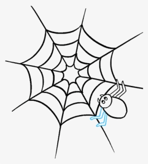 300x332 Spider Webs Png, Transparent Spider Webs Png Image Free Download