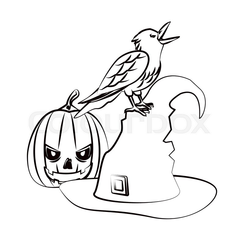 800x800 Halloween Witch Hat And Pumpkin With Stock Vector Colourbox