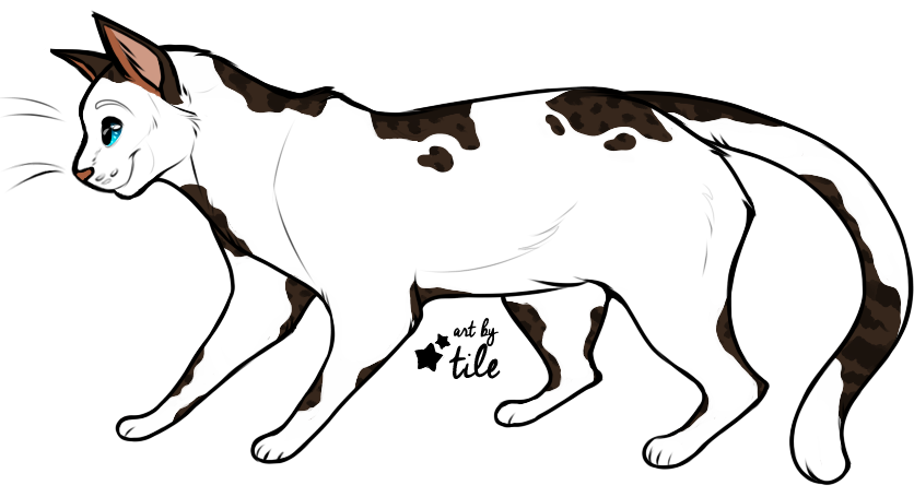 836x455 Jackal Drawing Drawn Huge Freebie! Download For Powerpoint