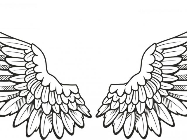 640x480 Angel Wings With Halo Drawings