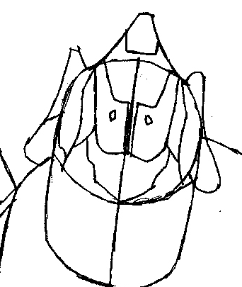 342x405 How To Draw The Elite From Halo With Easy Step