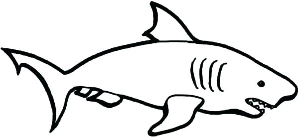 600x275 Easy To Draw Sharks Shark Drawing For Kids A Simple Drawing