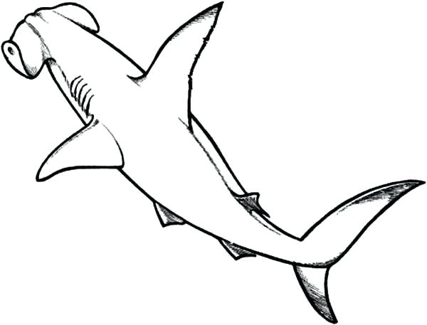 600x457 Hammerhead Shark Coloring