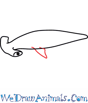 300x350 How To Draw A Hammerhead Shark