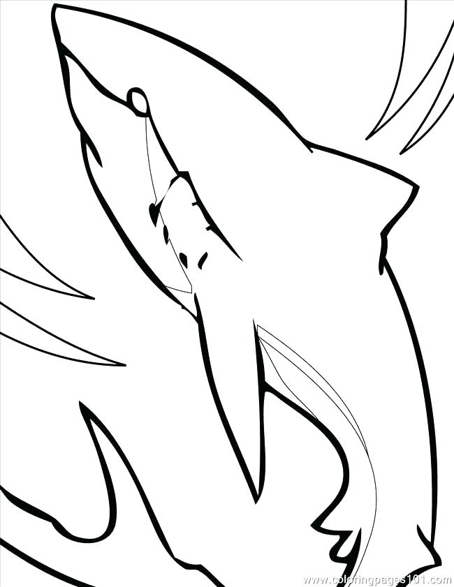 650x841 Shark Drawing For Kids At Free For Personal Use Shark Coloring
