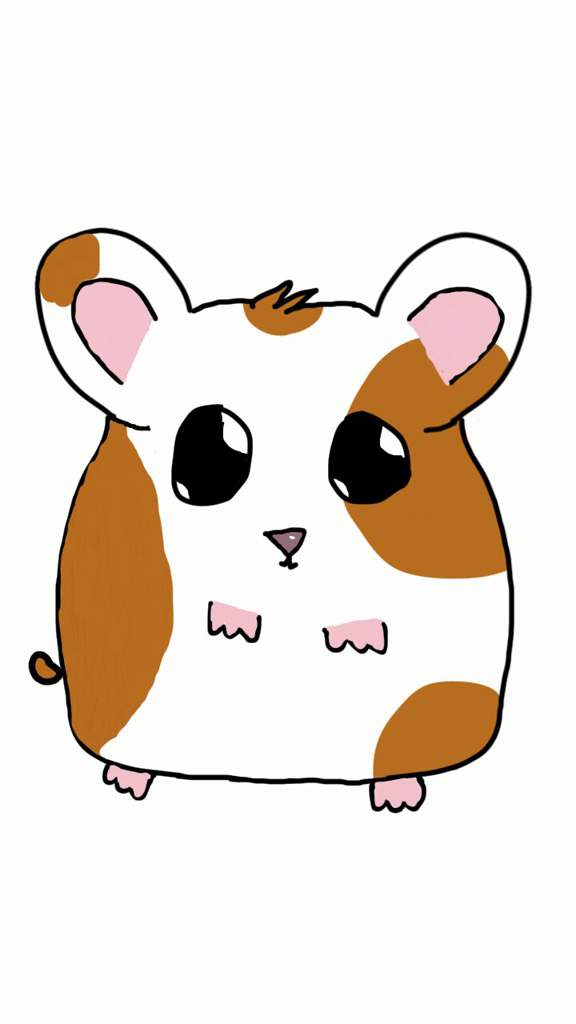 576x1024 Hamster Drawing Hamsters! Amino