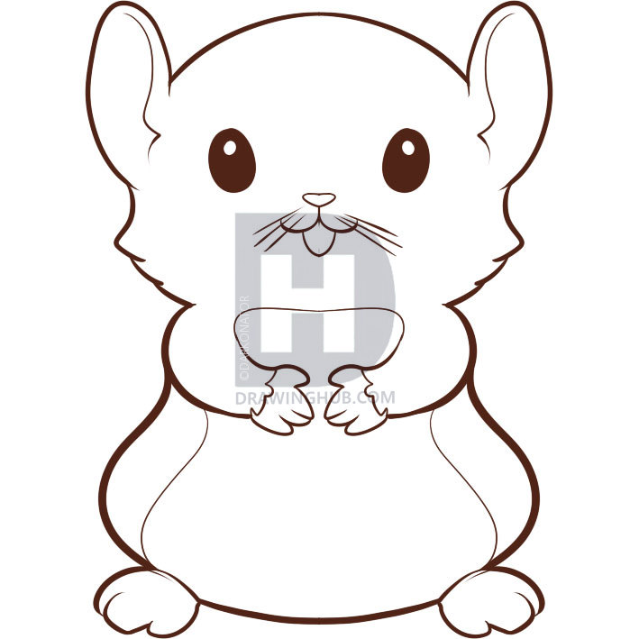 709x709 How To Draw A Hamster, Step