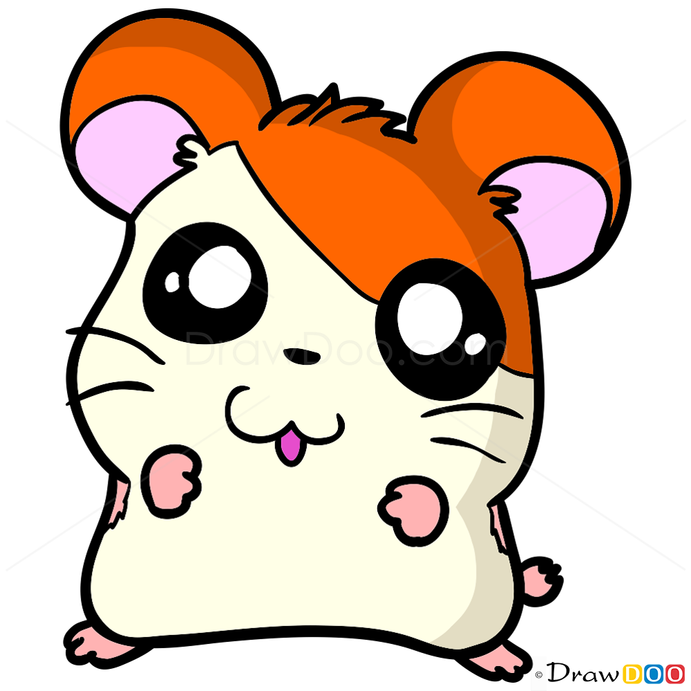 1000x1000 How To Draw Hamster, Chibi