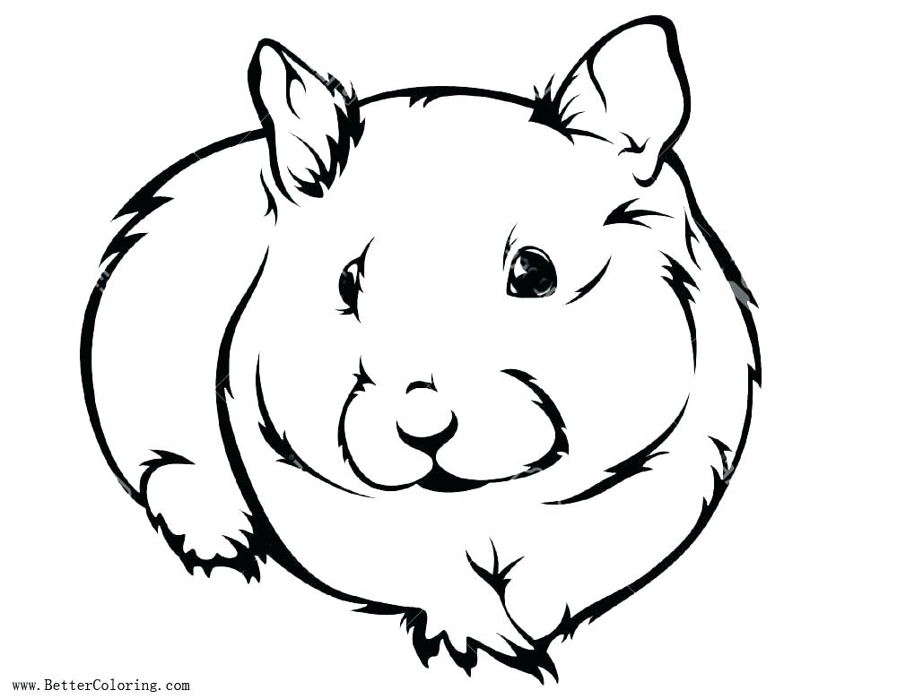1000x780 Hamster Coloring