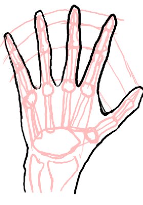 279x400 Drawing Drawing Tutorial