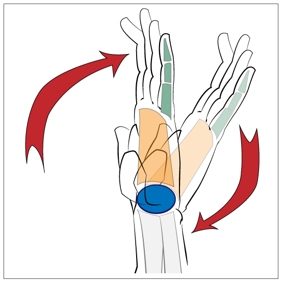 559x555 Collection Of Free Drawing Fist Hand Movement Download On Ui Ex