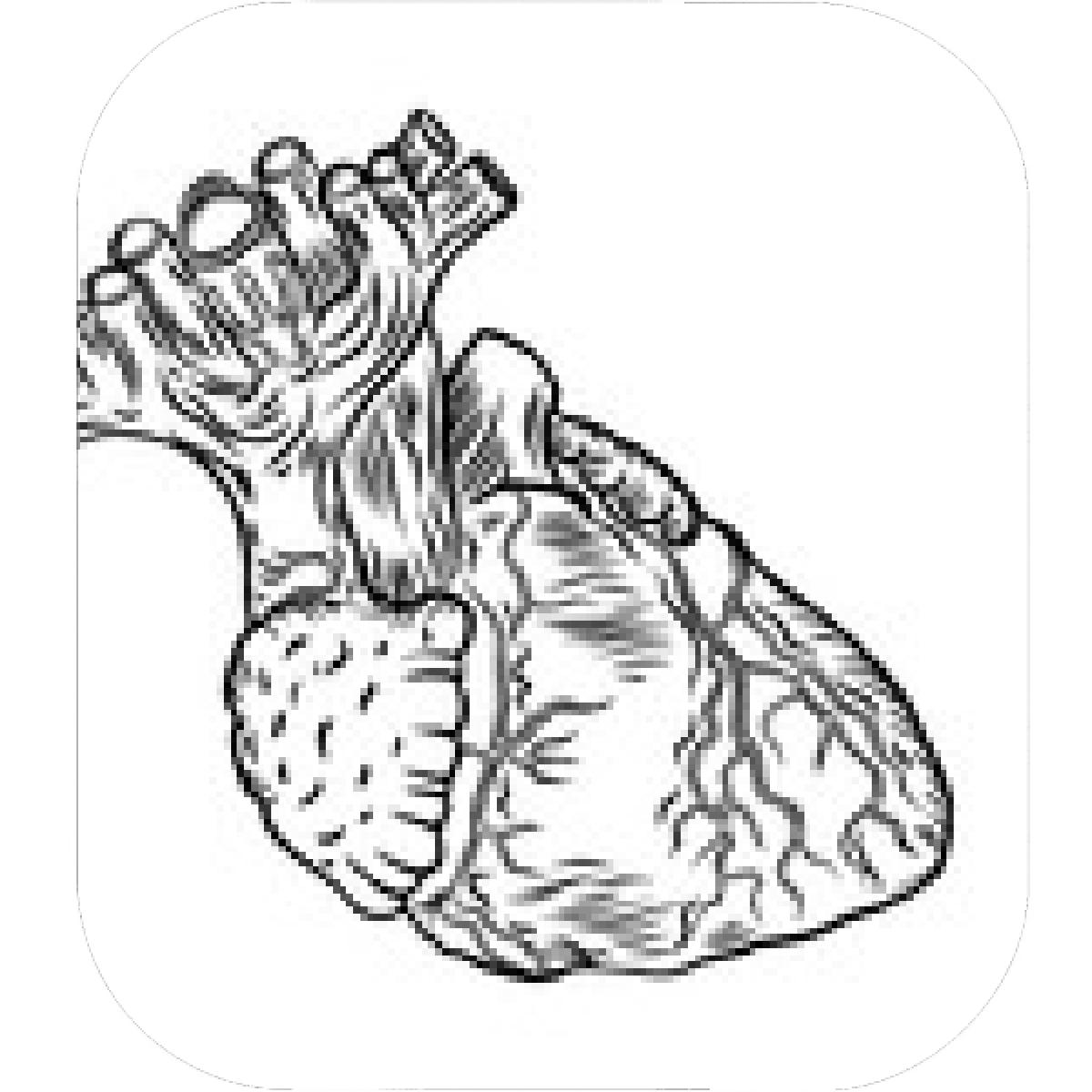 1200x1200 Designs Mein Mousepad Design Mousepad Selbst Designen