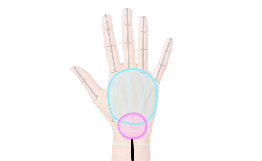 850x523 How To Draw Anime Hands And Feet