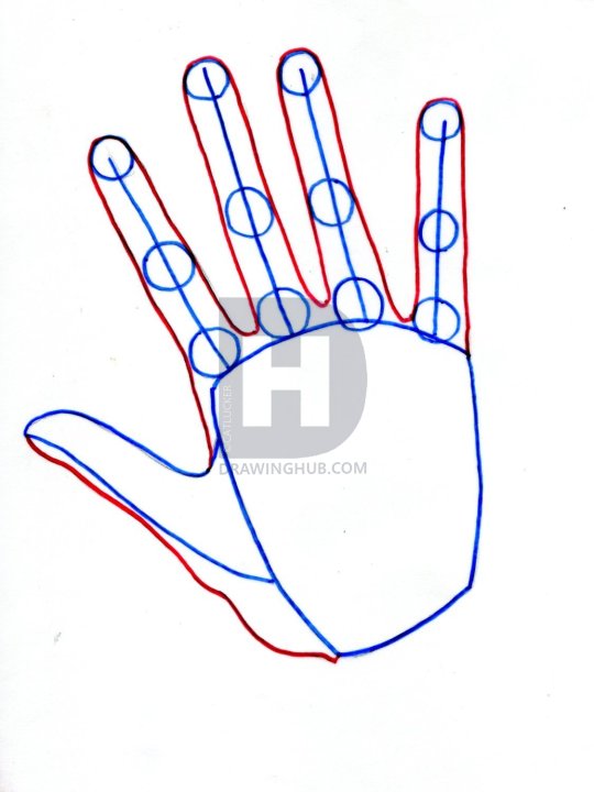540x720 How To Draw Realistic Hands, Draw Hands, Step