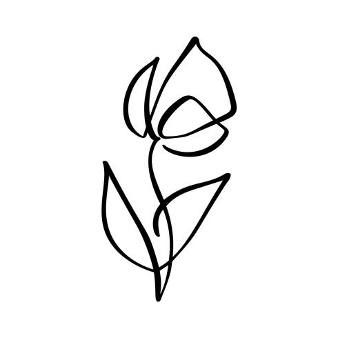 490x490 Tulip Flower Logo Continuous Line Hand Drawing Calligraphic