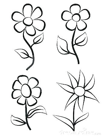 338x450 Easiest Flower To Draw Hand Draw Flowers