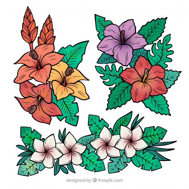 626x626 Free Download Lovely Set Of Hand Drawn Tropical Flowers