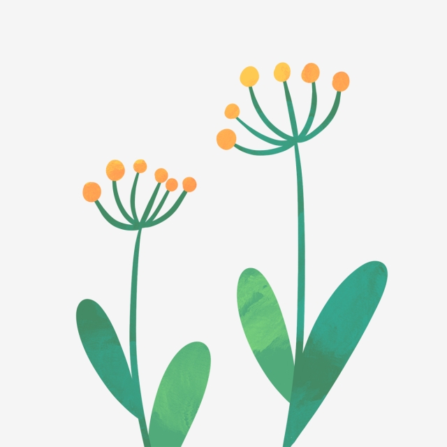 640x640 Hand Drawn Beautiful Yellow Flowers, Drawing, Nature, Cute Png