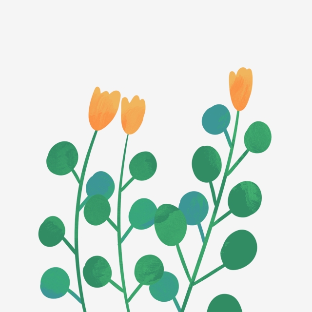 640x640 Hand Drawn Cute Yellow Flowers, Drawing, Nature, Flower Png