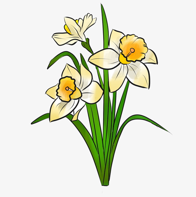 650x651 Vector Hand Drawing Decorative Flowers Image
