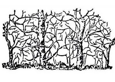 400x286 An Elephant A Day Elephant No Hidden Faces Illusion