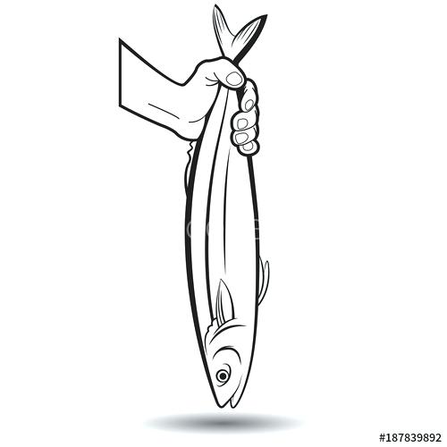 500x500 Outline Of Fish Vector Illustration With Hand Drawn Outline Carp