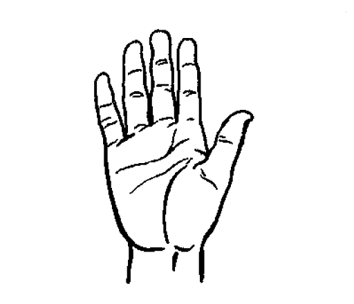 512x440 Filehand Drawing