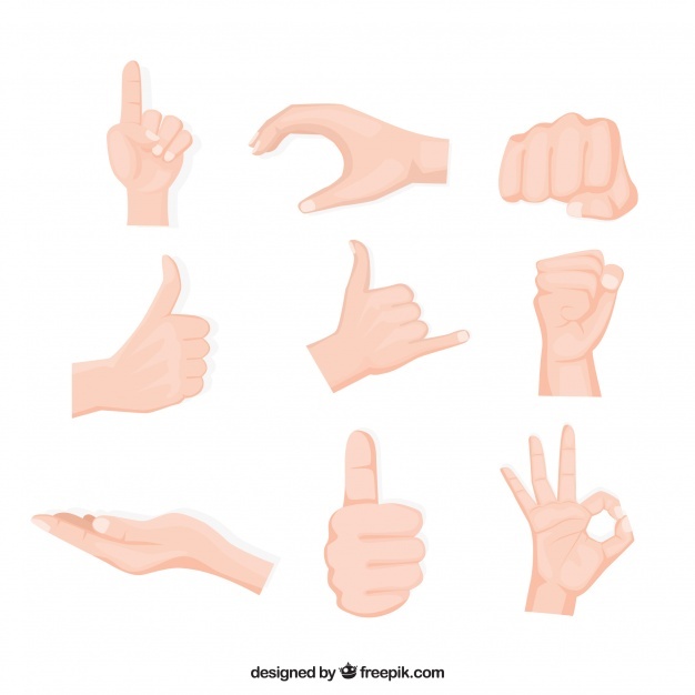 626x626 Hand Drawn Vectors, Photos And Free Download