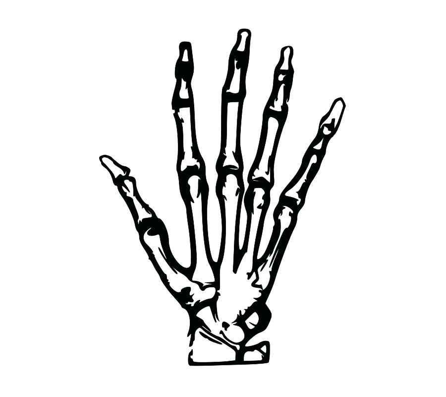 900x800 Simple Skeleton Drawing Draw Simple Human Skeleton Drawing