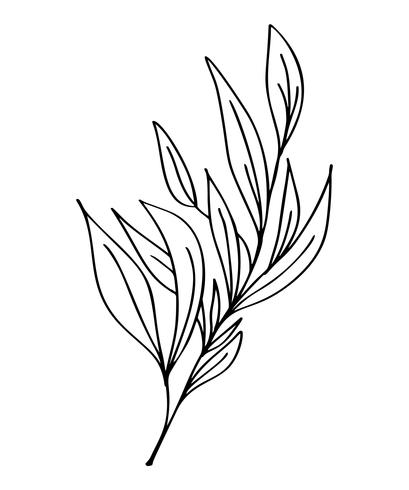 409x490 Hand Drawn Modern Flowers Drawing And Sketch Floral With Line Art