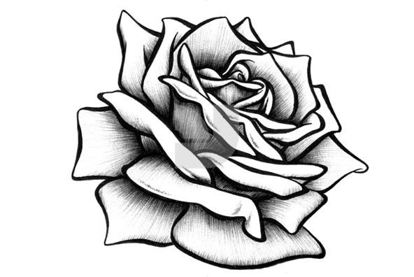 592x396 Hand Drawing Rose Diamonds Leer