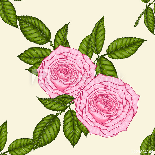 500x500 Rose Pattern