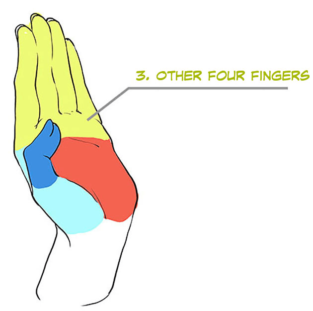 630x625 How To Draw A Variety Of Hands