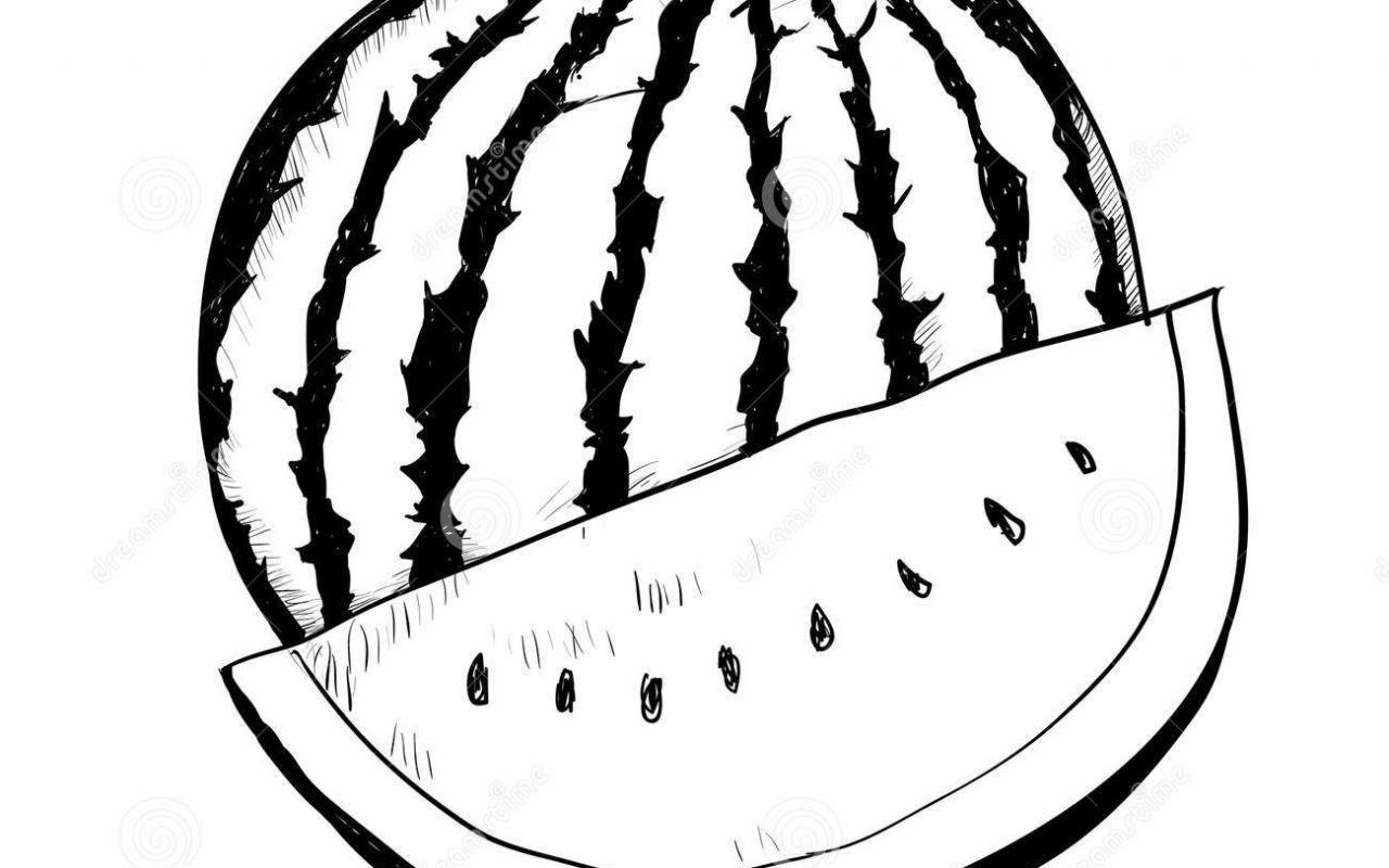 1280x800 Drawing Picture Of Watermelon Pics Images Hand Vector Drawn