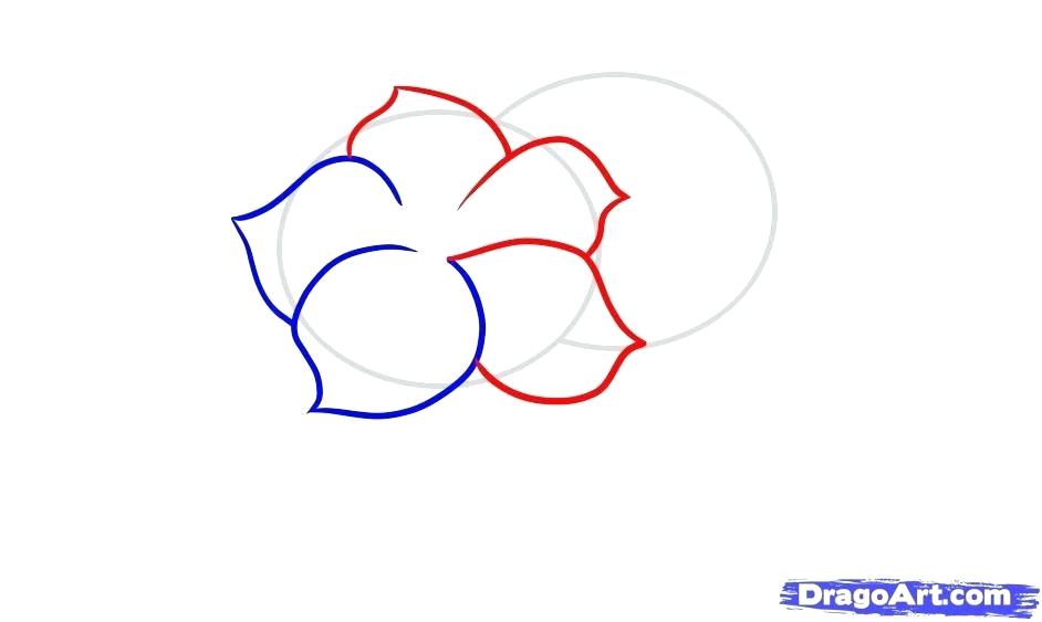 942x563 Flower Designs To Draw Hand Draw Line Art Ornate Flower Design