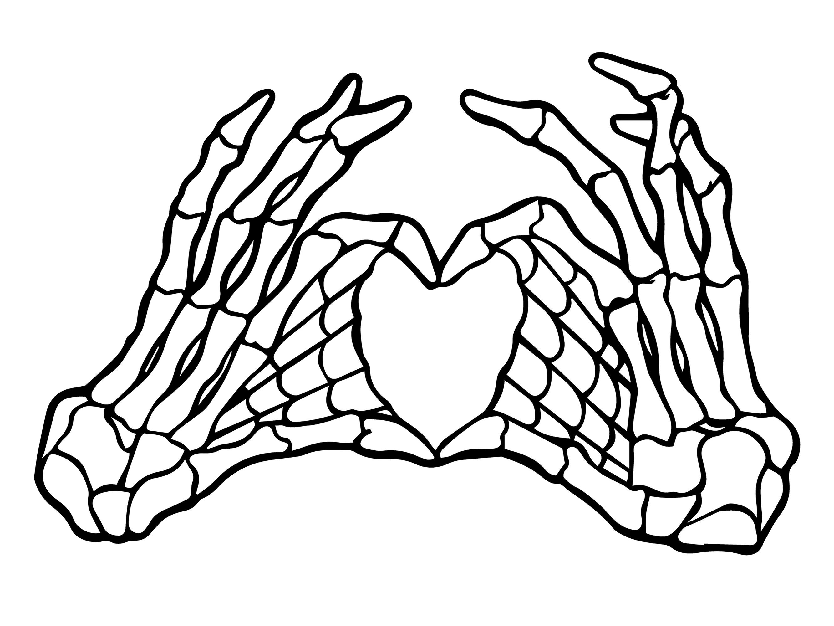 2666x2000 Skeleton Heart Hands Illustration