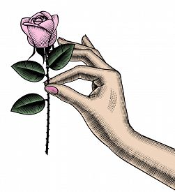 251x275 Colourful Floral Line Drawings Photos And Images