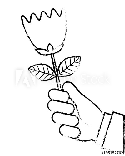 400x500 Hand Of Man Holding Tulip Flower Romantic Gift