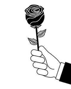 240x300 Hands Holding Flower Royalty Free Vectors