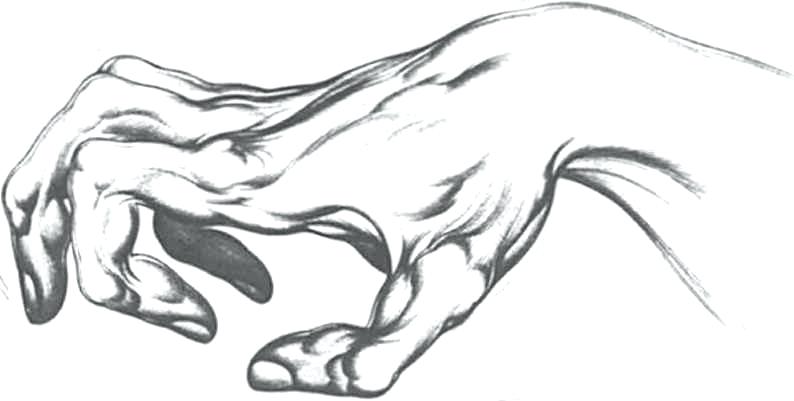 794x401 Drawing Of Hands Holding