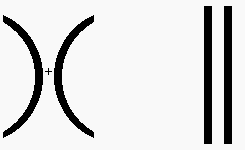 245x150 Neuroscience For Kids